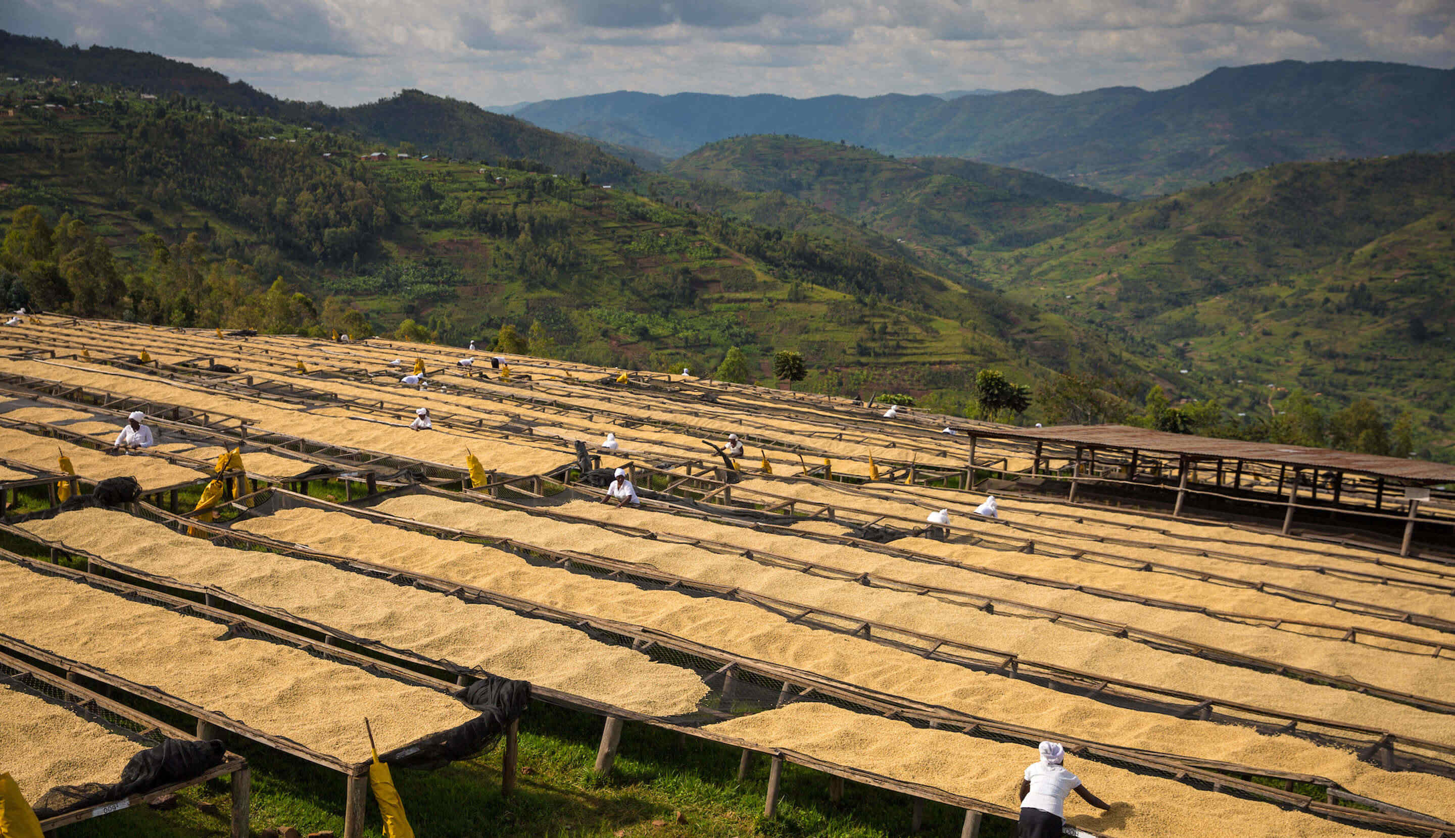 PROBÁ ÁFRICA