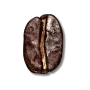 Dark Bean