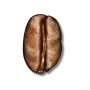 Medium Bean