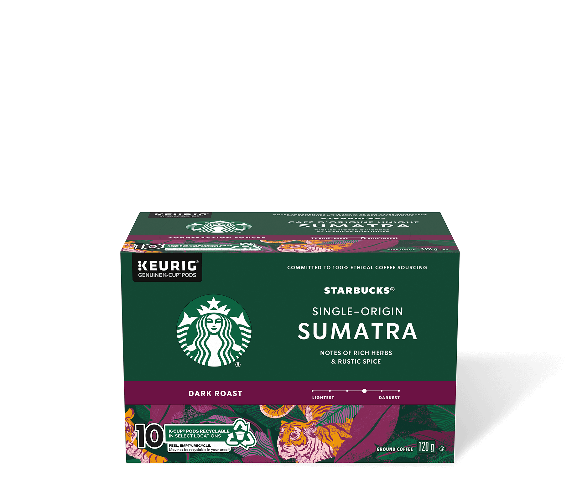 Sumatra KCup 10