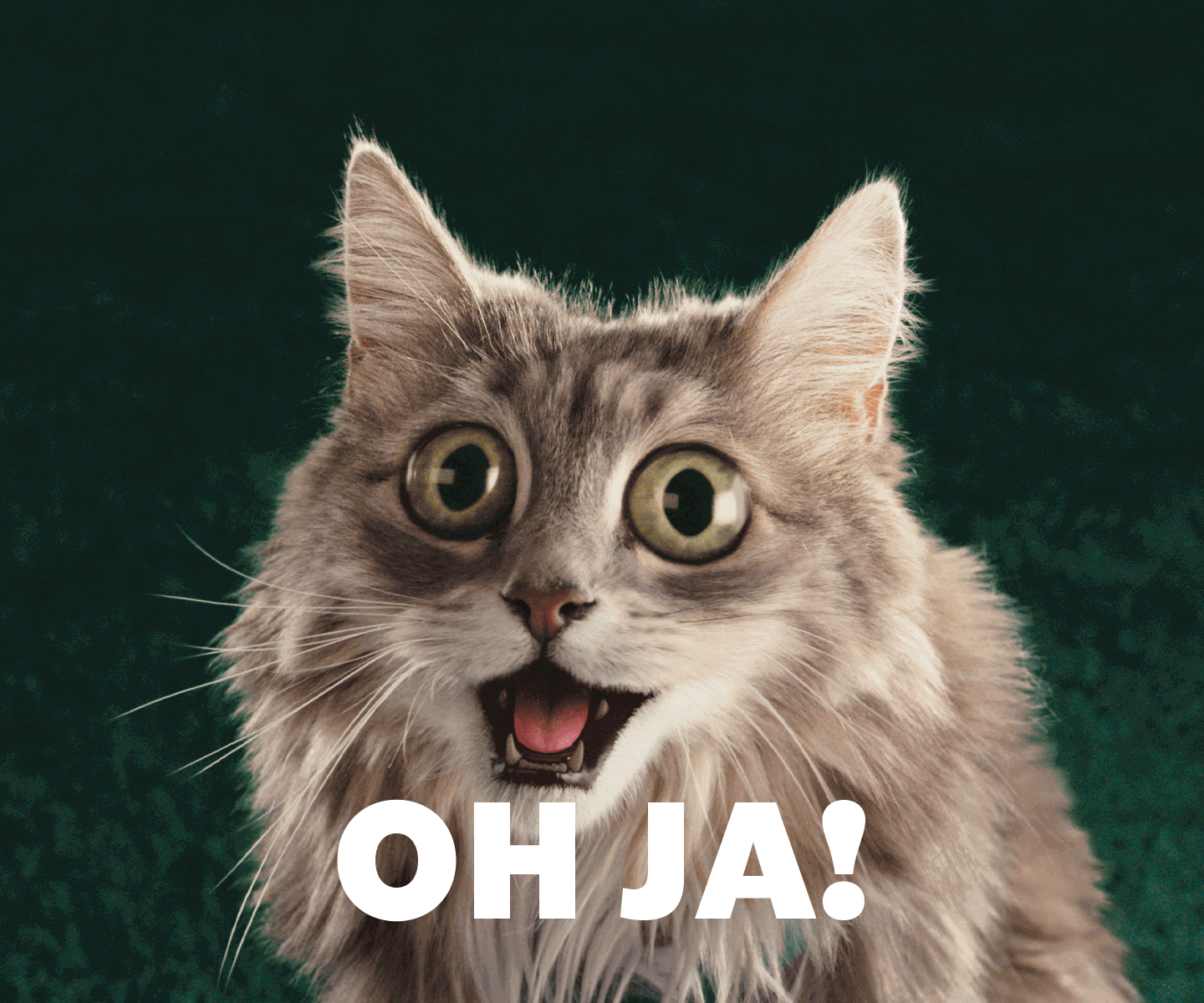 Starbucks® by Nespresso® OH JA!