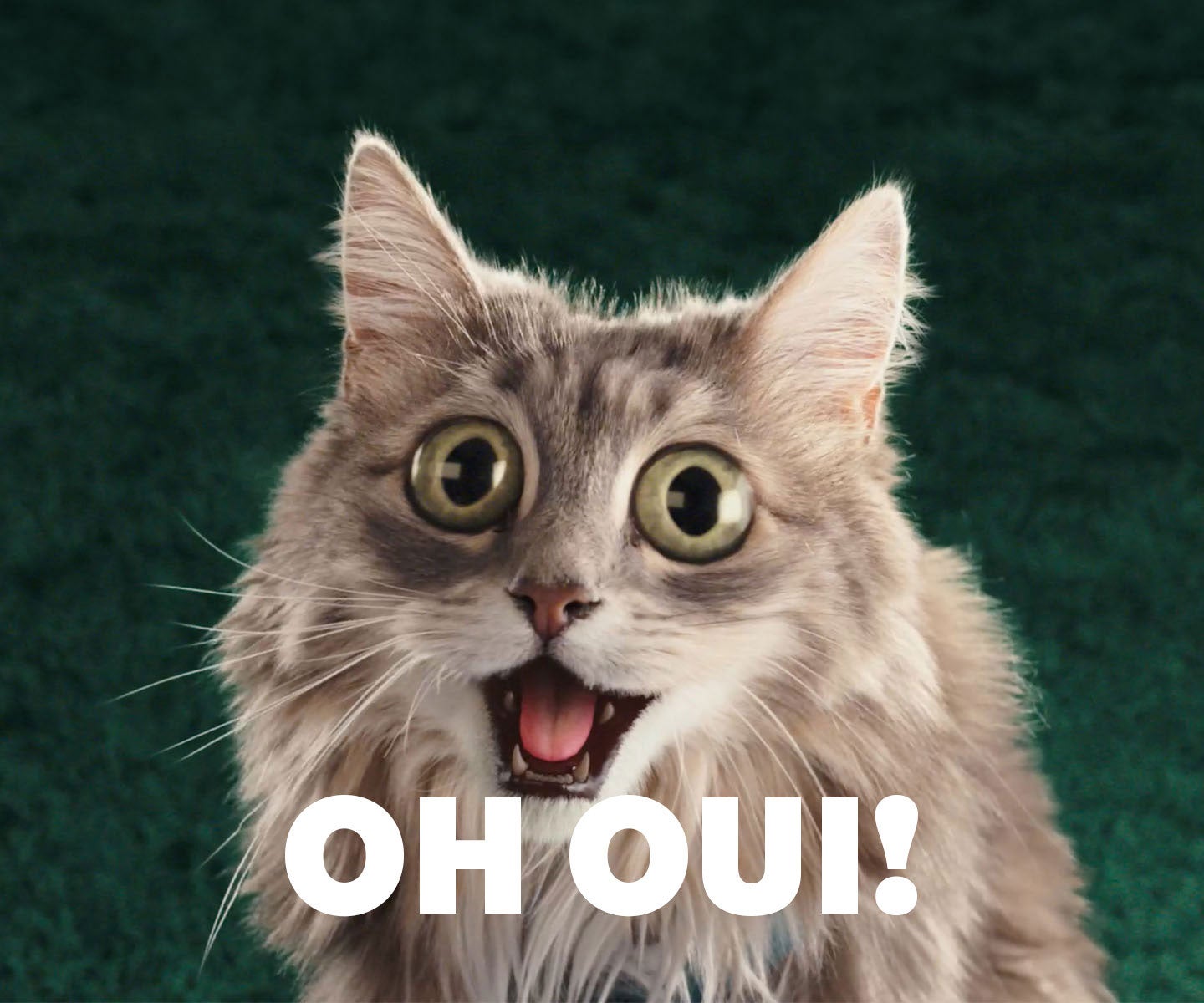 Starbucks® by Nespresso® m'a fait dire OH OUI!