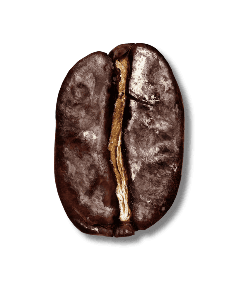 dark roast bean