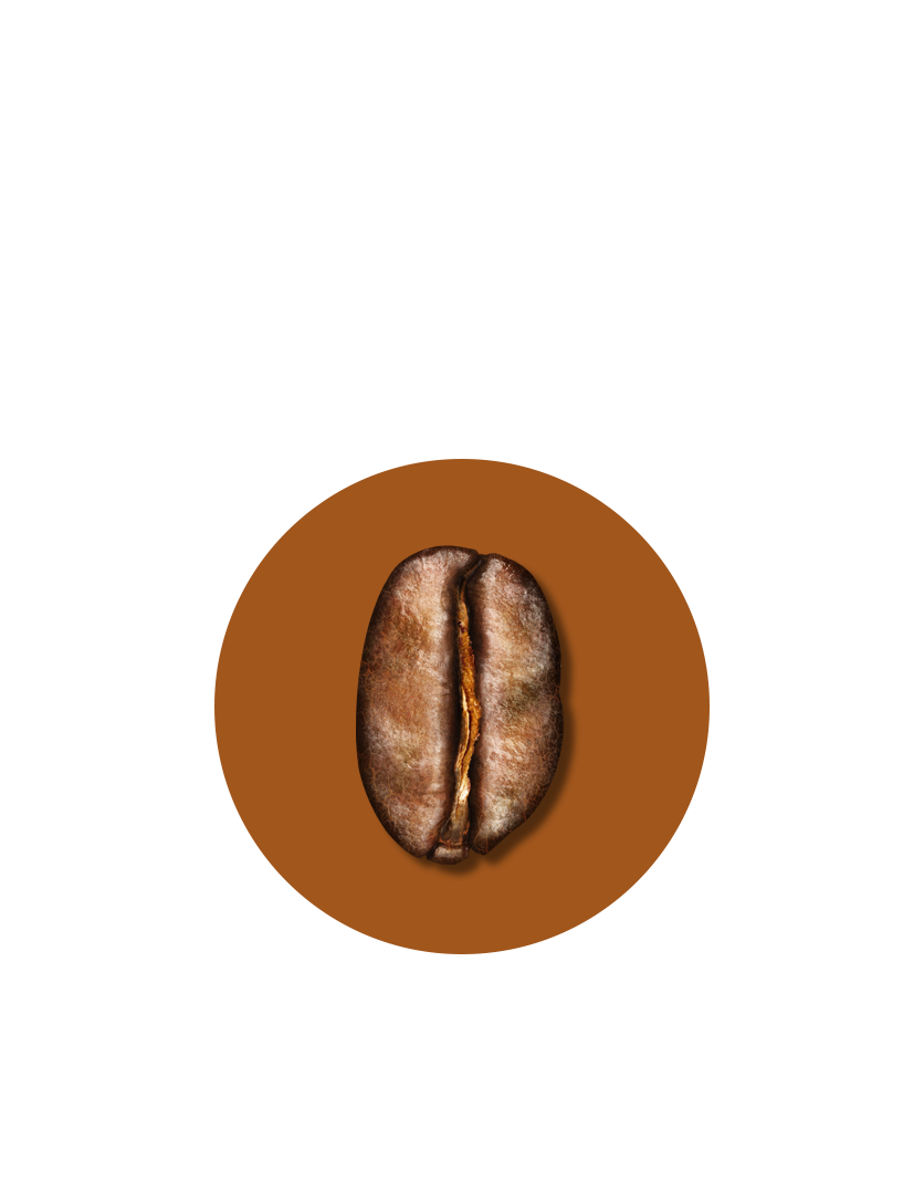 medium roast explore bean