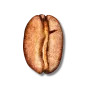 blonde bean