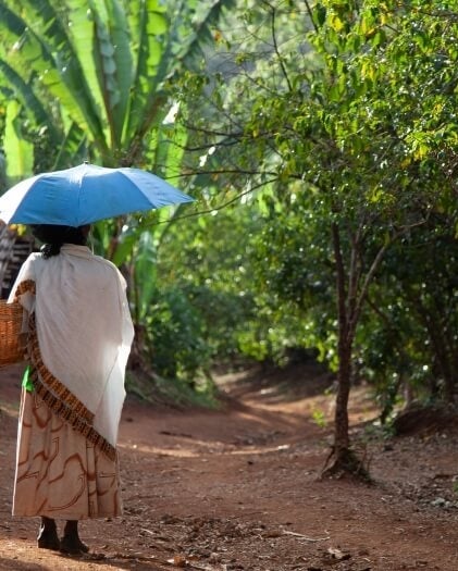 Woman coffee farmer