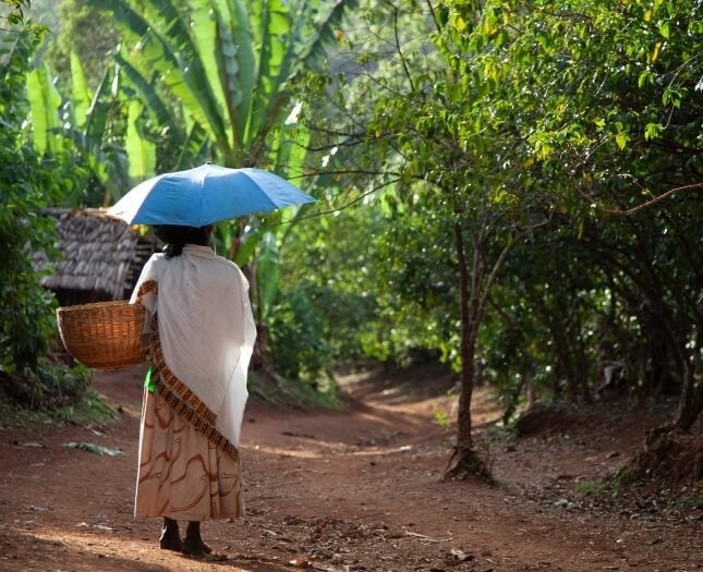 Woman coffee farmer