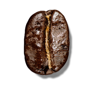Dark Bean