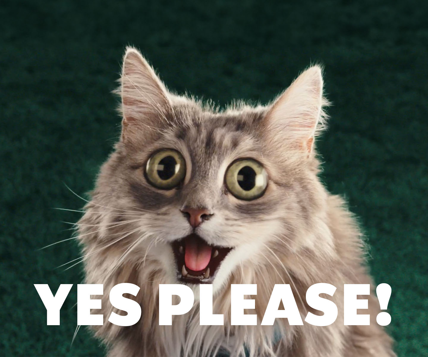 Brygg noe spektakulært