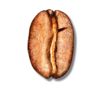 Blonde Roast