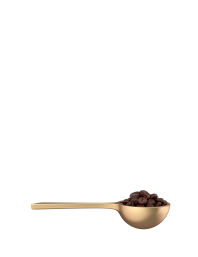  Starbucks® Spring Blend